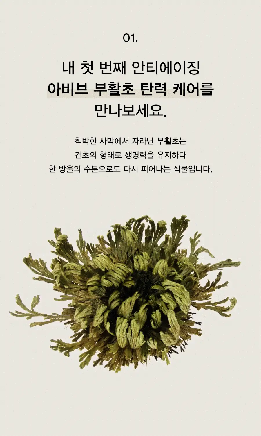 [착붙콜라겐] 아비브 콜라겐 아이패치 부활초 젤리 60매 (+60매 더블 기획) 상세페이지 7